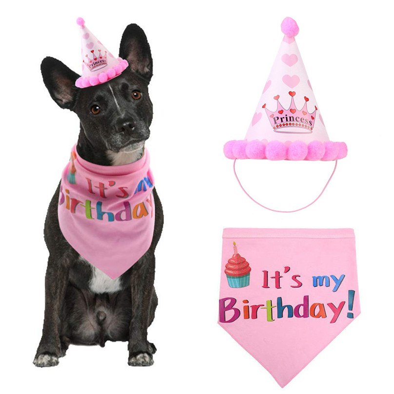 Cats & Dogs Birthday party Hat and Band