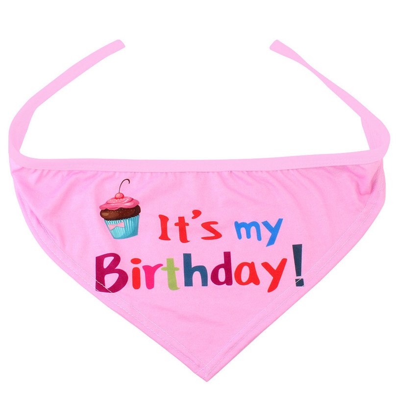 Cats & Dogs Birthday party Hat and Band