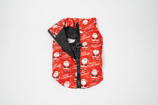 Christmas outfit for dogs