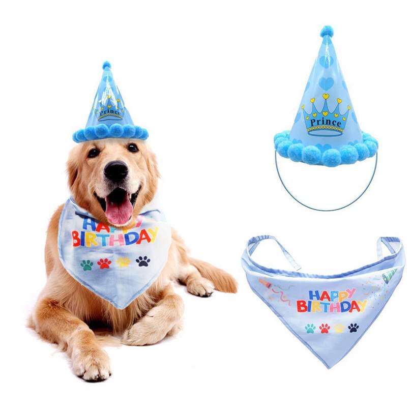 Cats & Dogs Birthday party Hat and Band