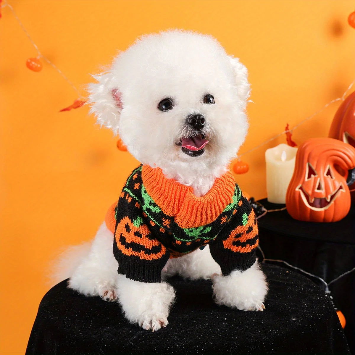 Pumpkin Halloween Sweater for Dogs & Cats