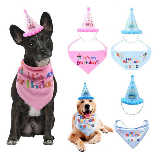 Cats & Dogs Birthday party Hat and Band