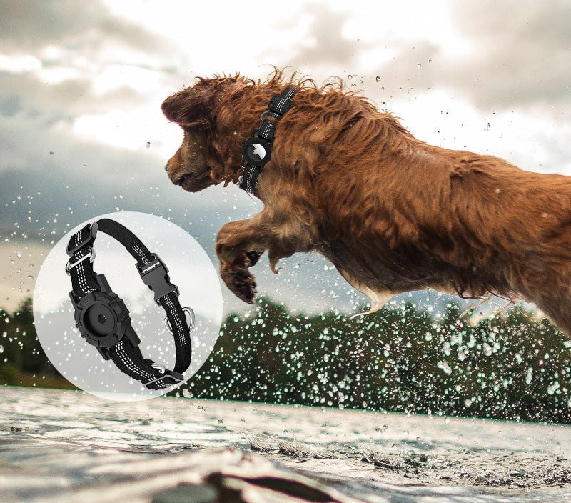 Pet Collar with Airtag case.