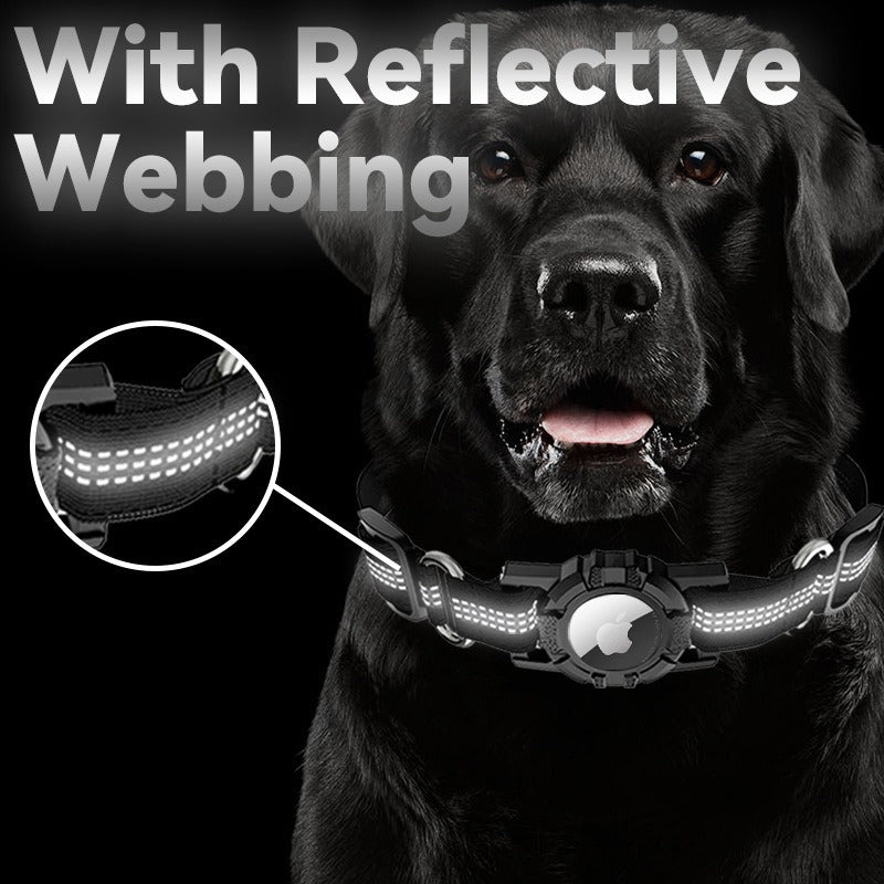 Pet Collar with Airtag case.
