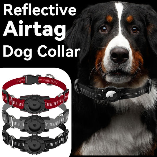 Pet Collar with Airtag case.
