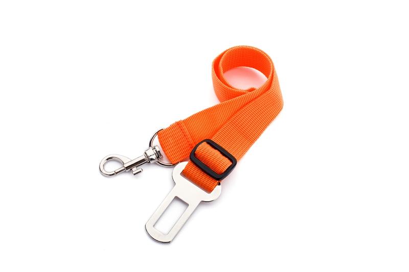 Dog car seat belt