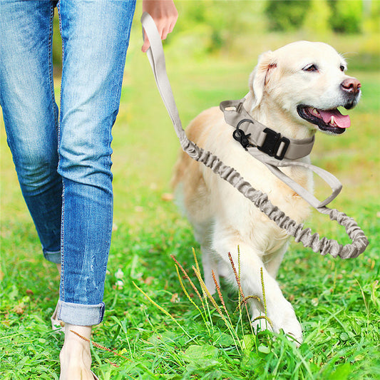 Tactical Collar Pet and Leash