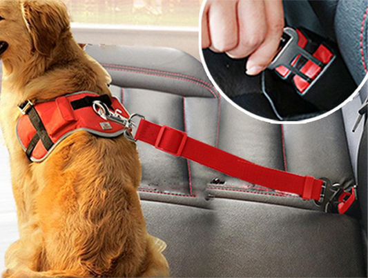 Dog car seat belt