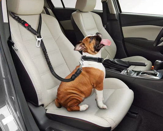 Pet Car Seat Belt