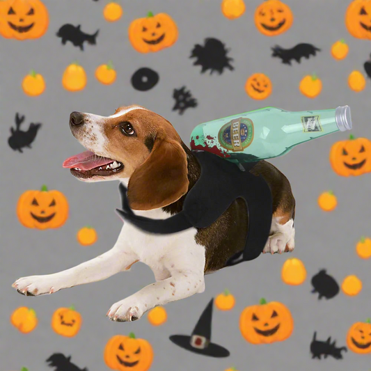 Pets Funny Hallween Costumes