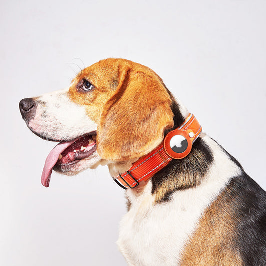 Pet Collar with Apple Airtag Case