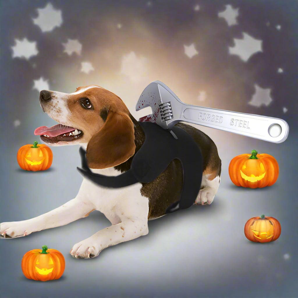 Pets Funny Hallween Costumes