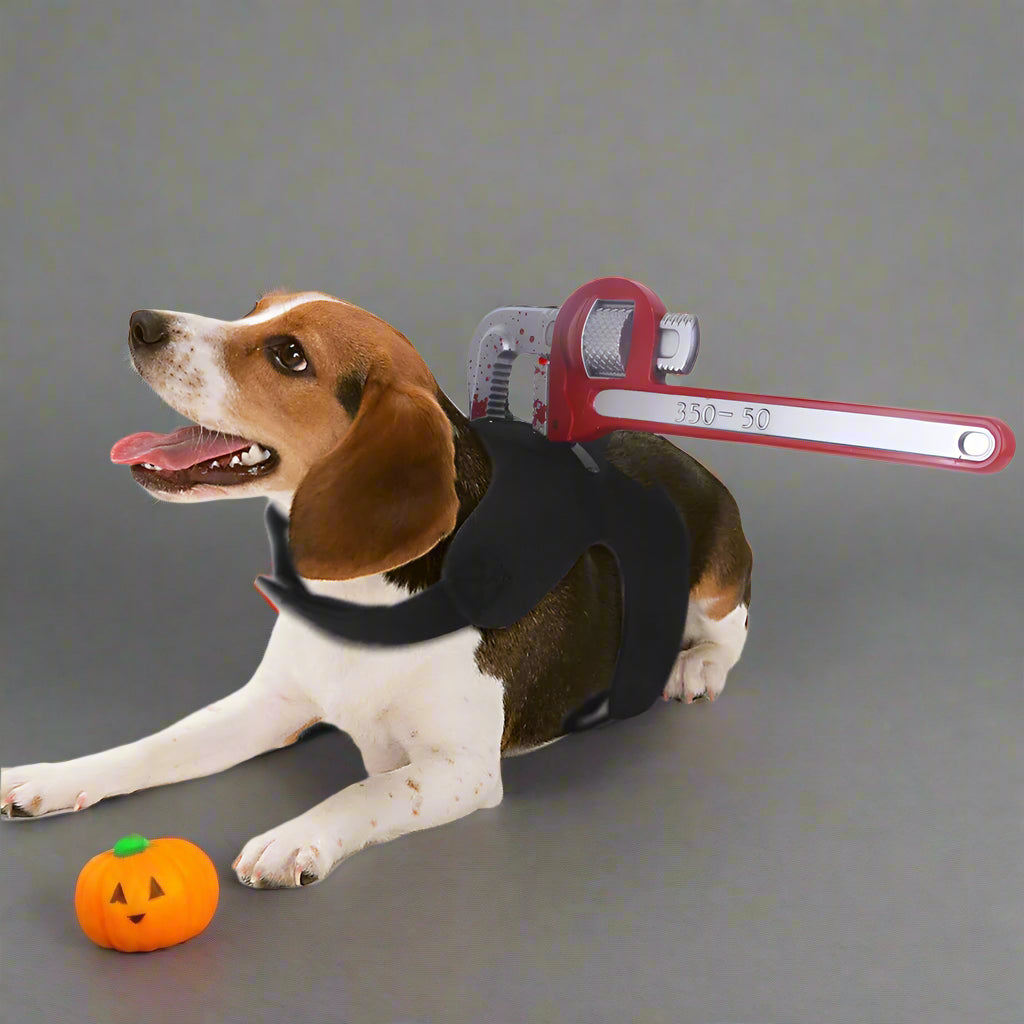 Pets Funny Hallween Costumes
