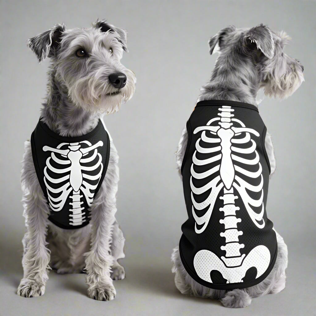 Halloween skeleton costume for almost every dog size
