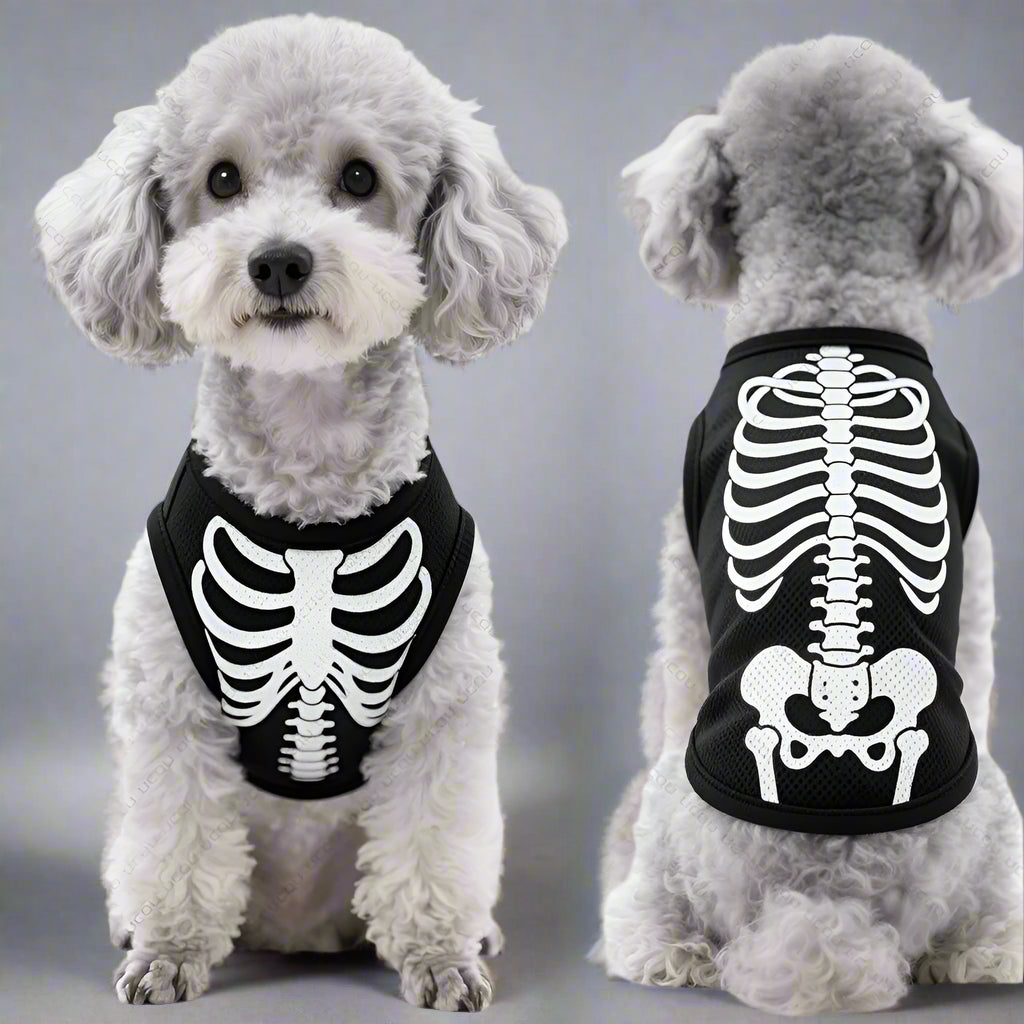 Halloween skeleton costume for almost every dog size