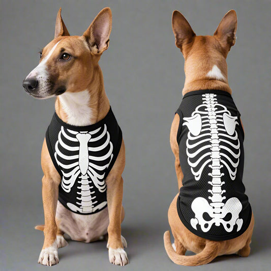 Halloween skeleton costume for almost every dog size