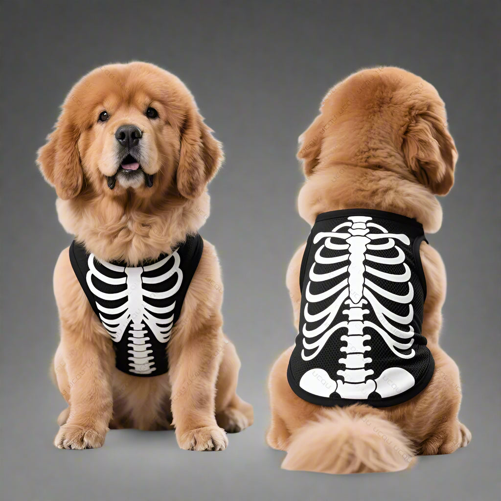 Halloween skeleton costume for almost every dog size