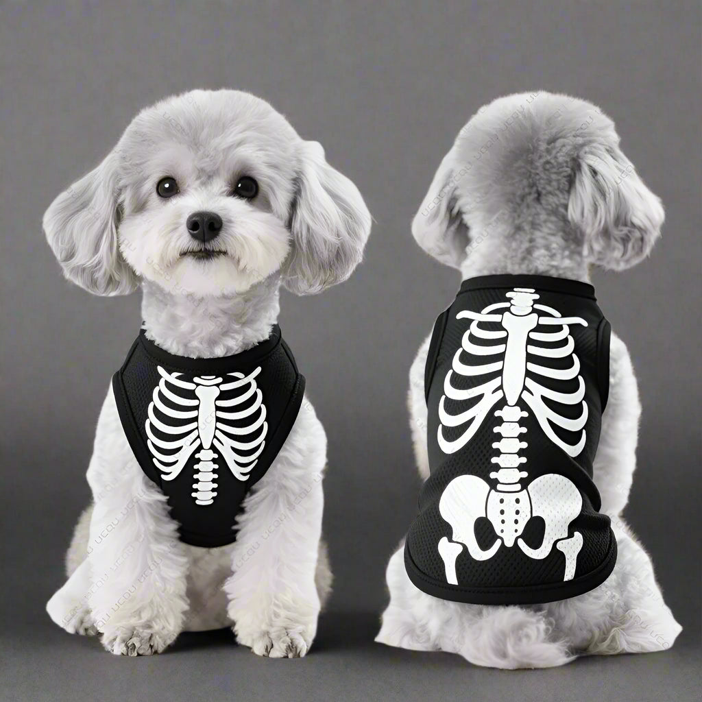 Halloween skeleton costume for almost every dog size