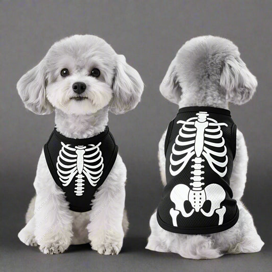 Halloween skeleton costume for almost every dog size