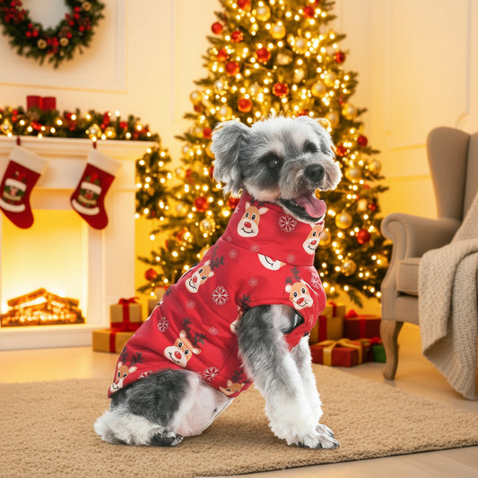 Christmas outfit for dogs
